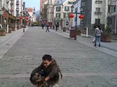 -四川省成都市彭州市白鹿镇