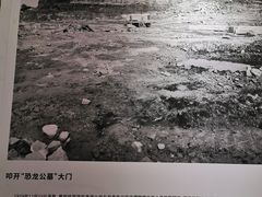 -自贡恐龙博物馆