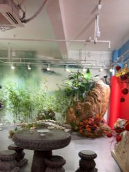 -星豆豆儿童摄影(南郊太白南路店)