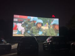 -枫花园汽车电影院(朝阳公园店)