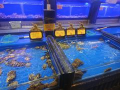 -万宝海鲜舫(劳动公园店)