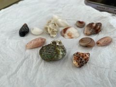 -花海间·即刻露营