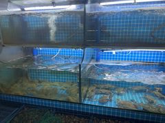 -老东镇啤酒屋海鲜加工·蒸汽海鲜·海鲜烧烤(台东店)