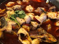 -虎虎龙虾大排档(双井店)