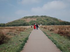 -汉景帝阳陵博物院