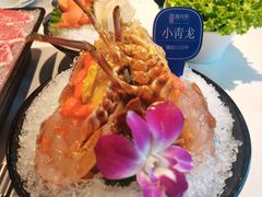 -海月轩海鲜豆捞(紫金塔店)