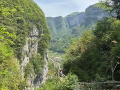 -鹿院坪生态旅游景区