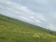 -御道口草原森林风景区
