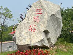 -金石滩蓝莓谷庄园