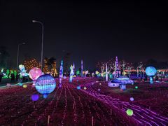 -国际非物质文化遗产博览园