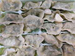 韭菜鸡蛋饺子-启子大馅饺子