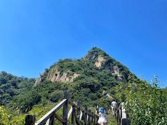 -大岭沟猕猴桃谷风景区