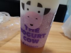 -一只酸奶牛(兰州中心店)