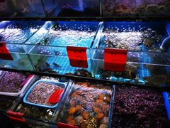 水产区-金海湾海鲜排档(朱家尖店)