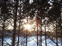 -北极村旅游风景区