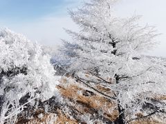 -阳台山自然风景区