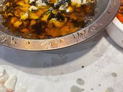 -雲蜀龙阁·金牌水煮鱼(方庄店)