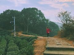 -西湖风景区十里琅珰-五云山