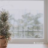 虎门探店丨小时光在花苑里