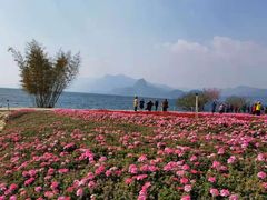 -抚仙湖禄充风景区