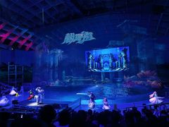 -海合安武汉极地海洋公园