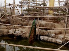 -临沂动植物园
