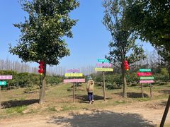 -前小桔亲子创意农场·草莓采摘·露营烧烤