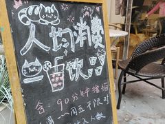 -猫咪派对(江南西店)
