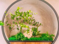 -草原黑森林碳烤羊腿(东大桥店)