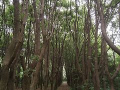 -同里国家湿地公园