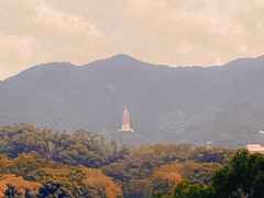 -深圳仙湖植物园