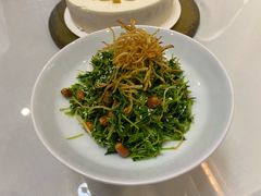 巧拌豆苗-天和晟烤鸭店(玉泉西街店)