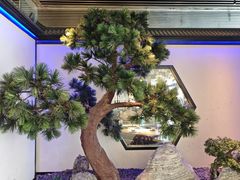 -绿茶餐厅(成都大悦城店)