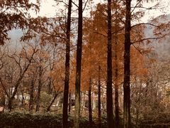 -青岛崂山太清宫