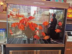 -龙记·香港茶餐厅(海上世界店)