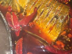 -销魂美蛙鱼头火锅(上海首店)