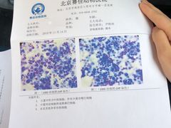 -北京赛佳动物医院