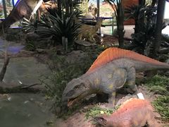 -湖南省地质博物馆