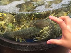 -陶陶居海鲜酒家(新马路店)