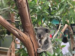 -费瑟代尔野生动物园