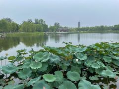 -西海子公园