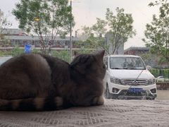 -平行世界·猫咖(首经贸店)