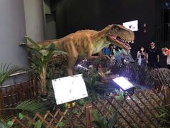 -广东科学中心科技影院