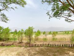 -野鸭湖国家湿地公园