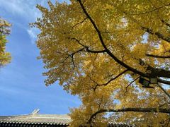 -红螺寺