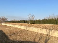 -汉长安城未央宫国家考古遗址公园