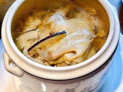 印度椰皇炖老鸽（小鼎）-大鸽饭(岗顶店)