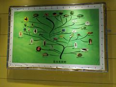 -上海昆虫博物馆