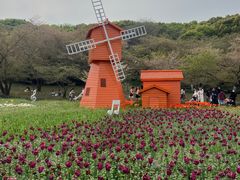 -苏州上方山国家森林公园