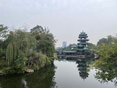 -桂湖森林公园